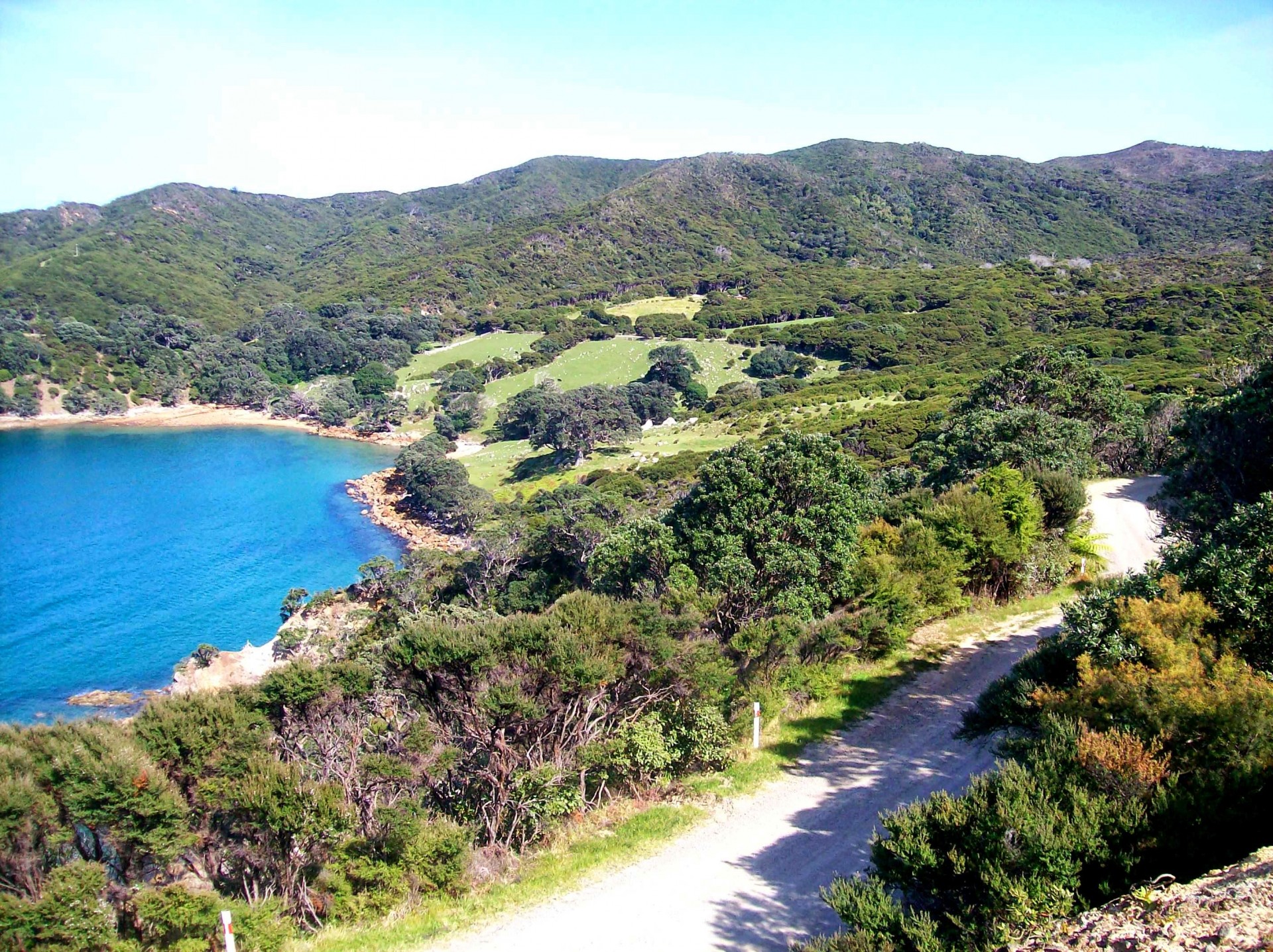 Great Barrier Island