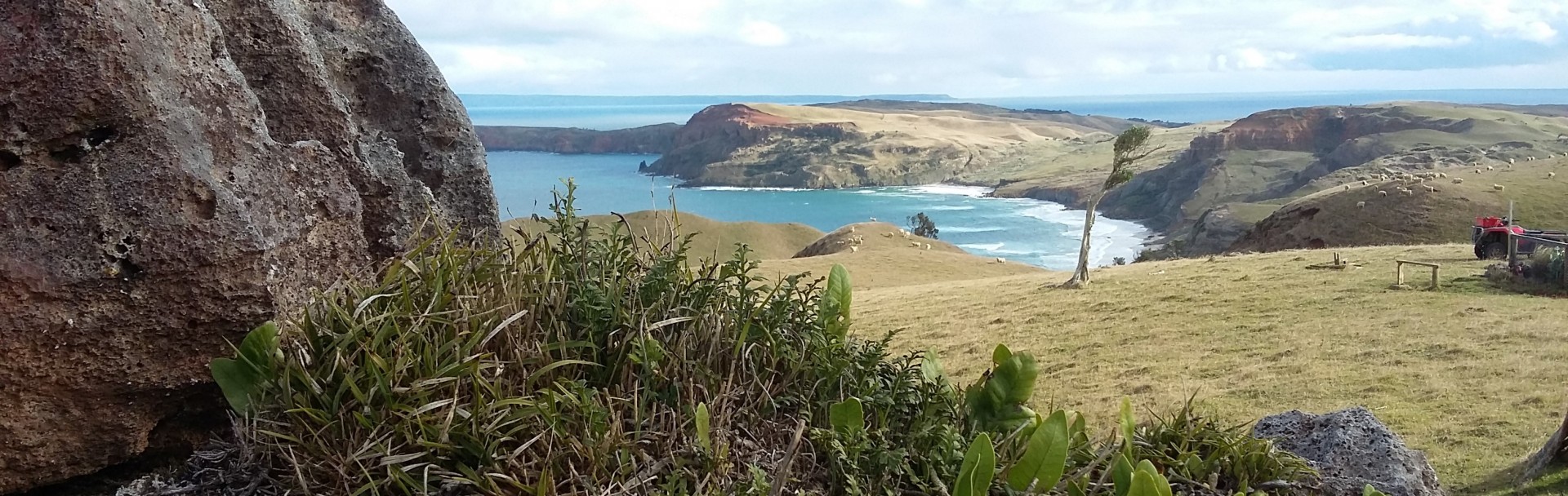 Chatham Islands - Rugged, Remote and Awe-Inspiring