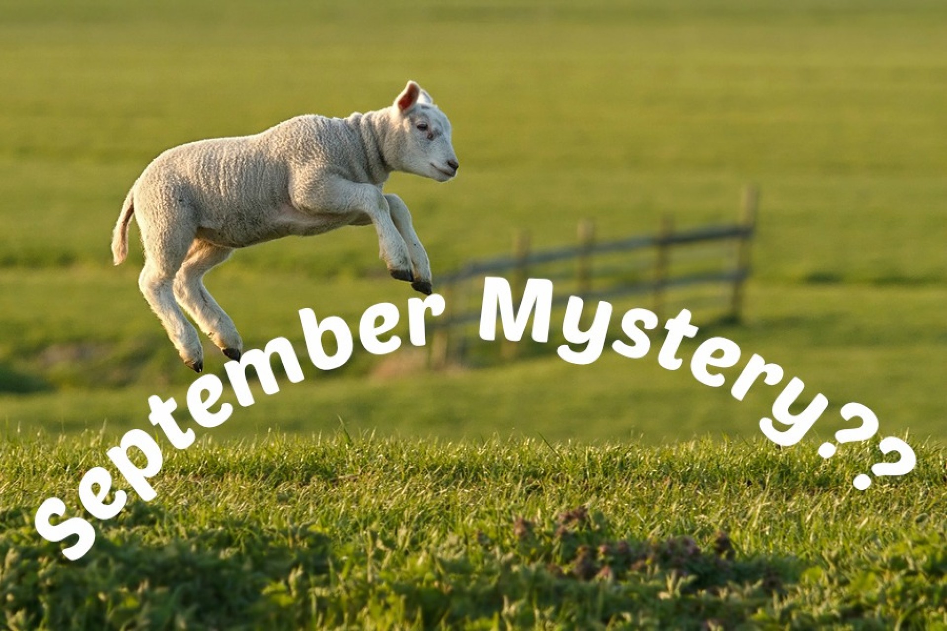 September Mystery Trip