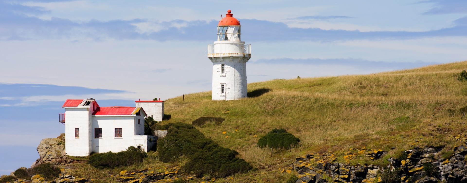 The Catlins Tour Including Oamaru & Dunedin