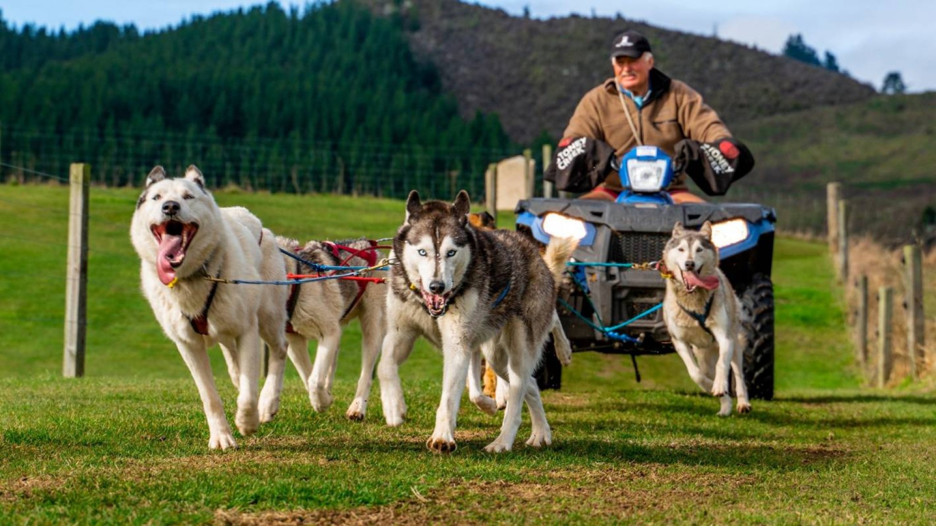 The Timberline Racing Huskies Day Trip