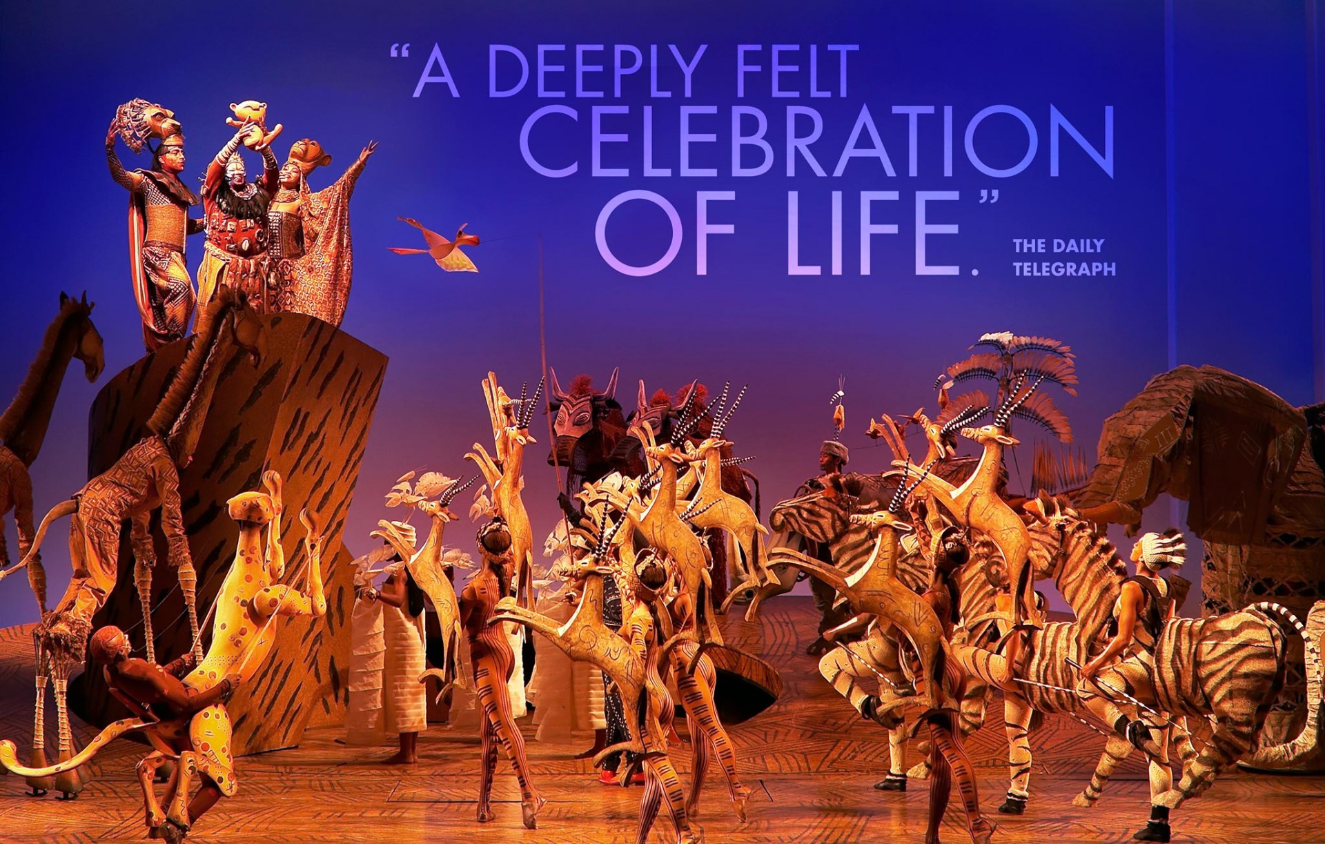 Disney's Landmark Musical The Lion King To Premiere In NZ