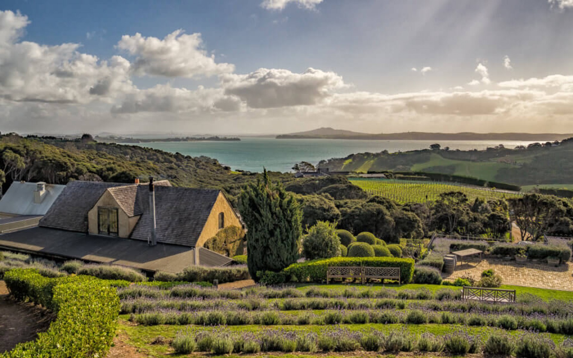 Christmas Hauraki Gulf Cruise