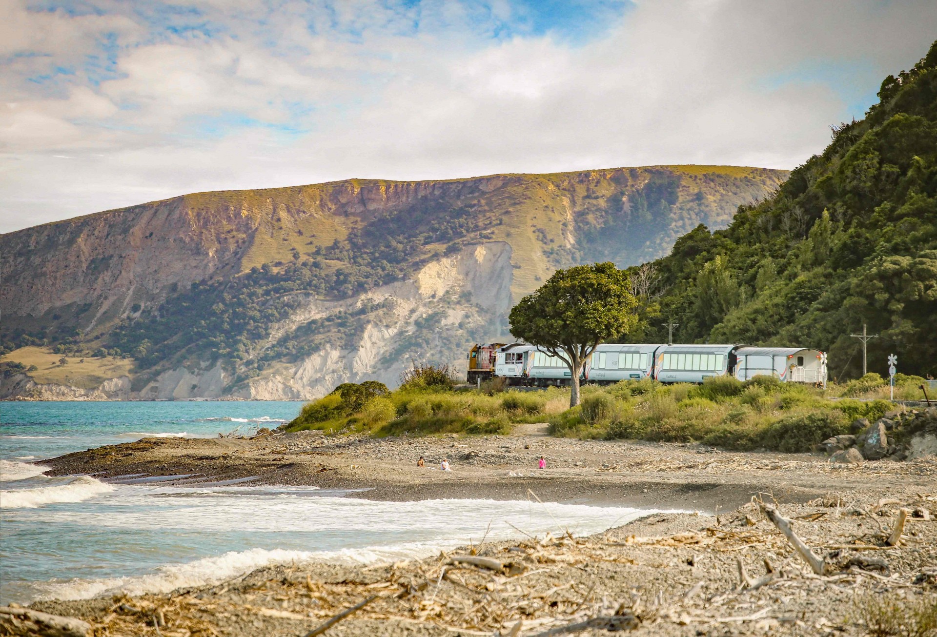 The Ultimate TranzAlpine & CoastalPacific Train Journey