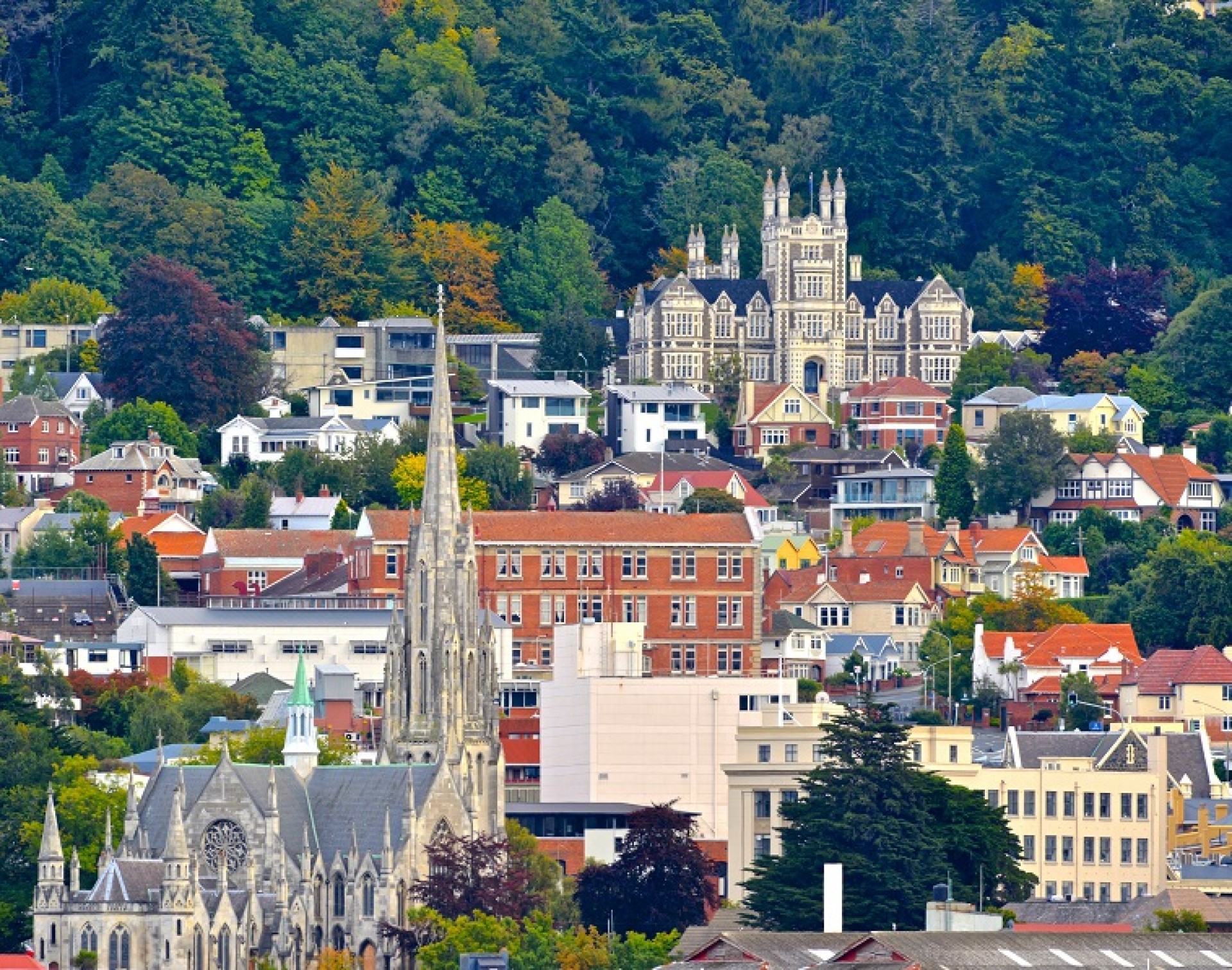 Dunedin's Stay and Play, Heritage Homes & Castles.